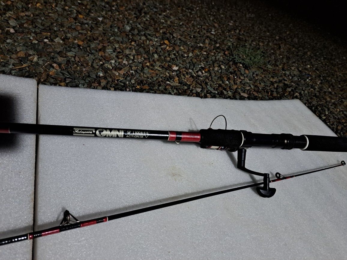 Fishing Rod And Reel