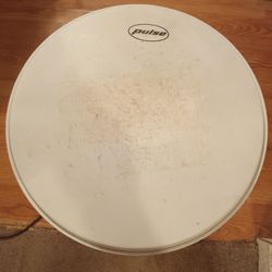 PULSE#14"white frosted drum head