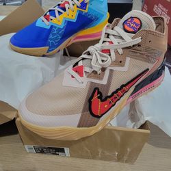 Nike LaBron 18 Wild E vs Road Runner  