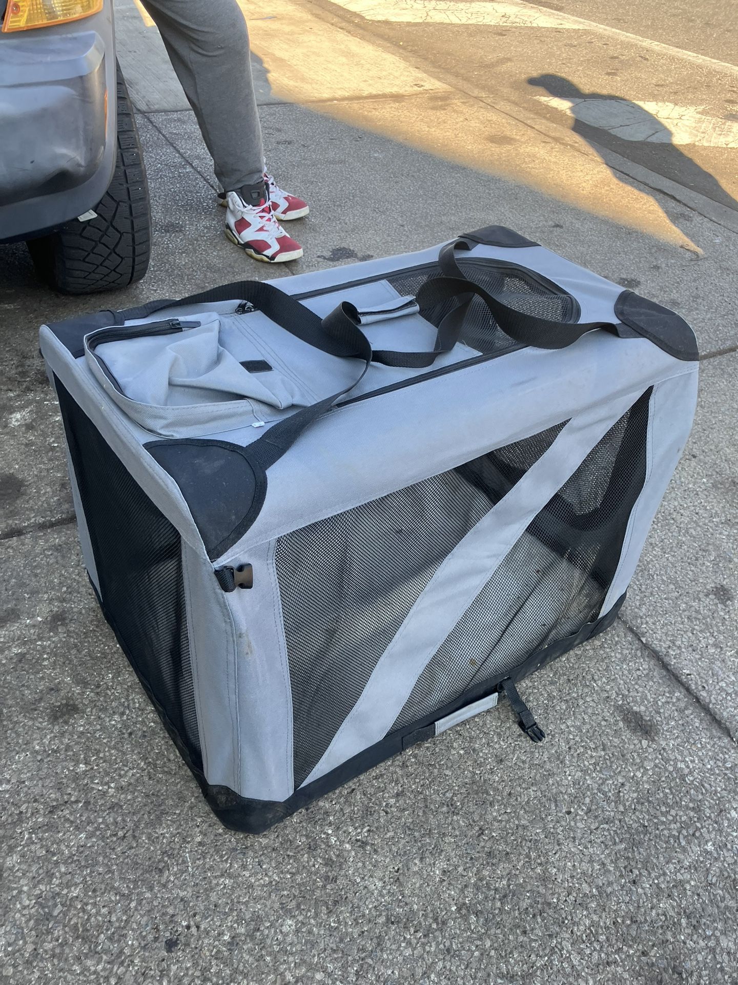 Doggy Bag Carry