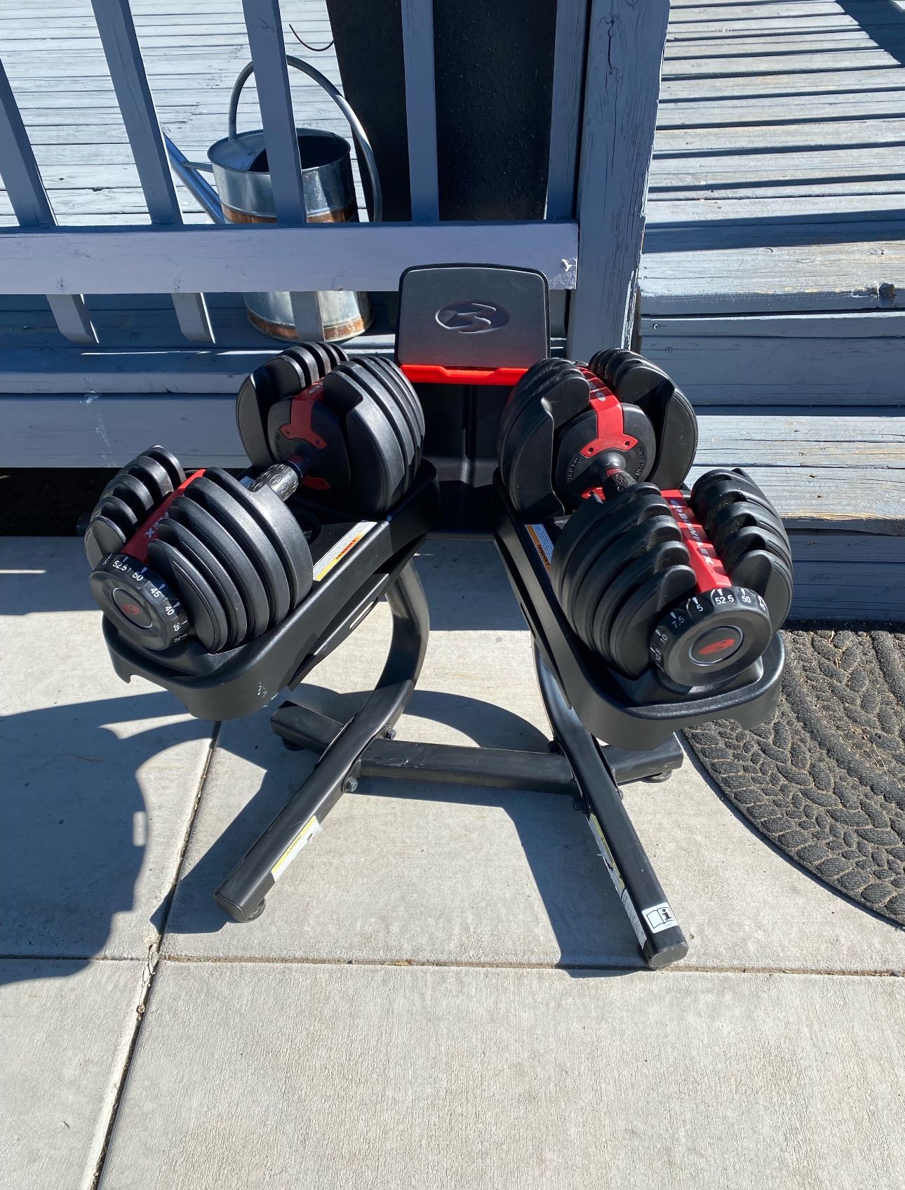 Bowflex Weights and Stand
