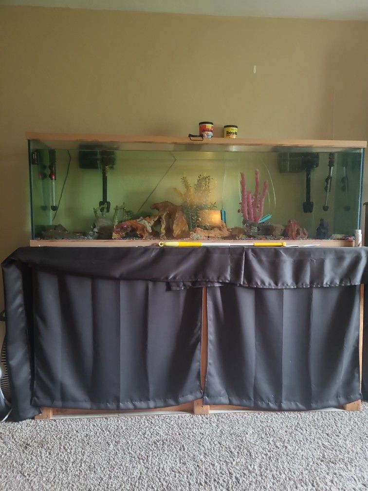 Restuarant Style Fish Tank