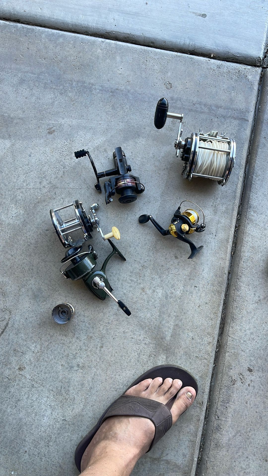 Fishing Reels