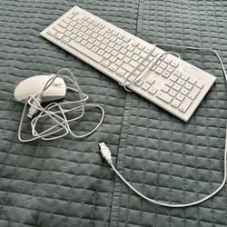 mouse and keyboard