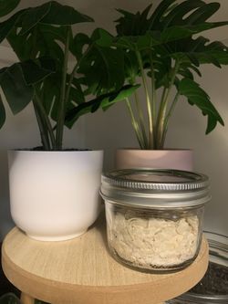Organic sourdough starter