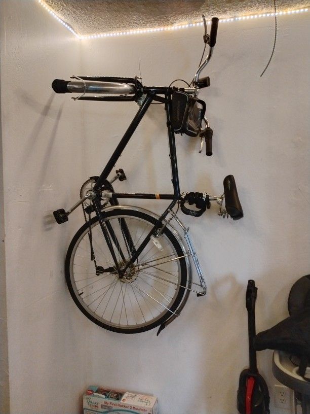 Adult Schwinn Bike