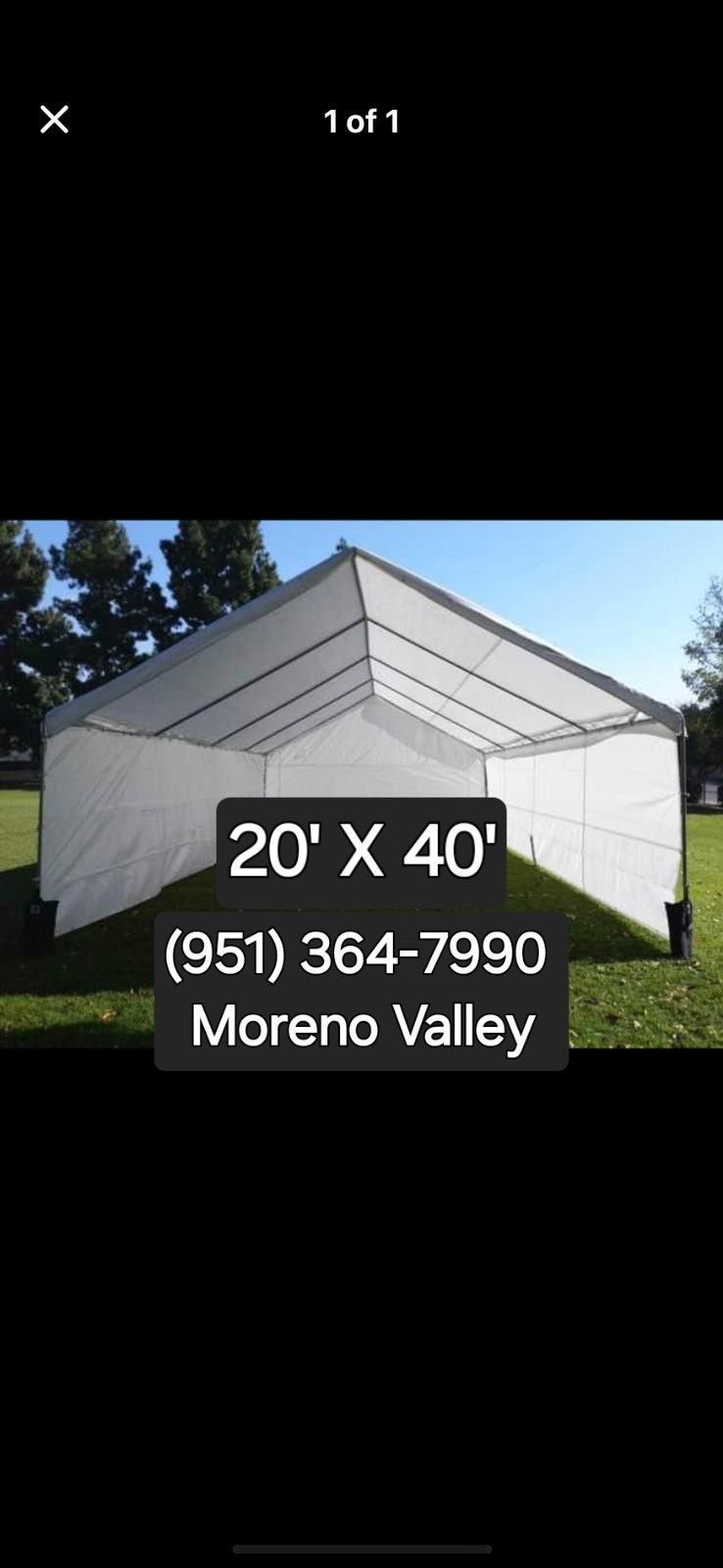 Tarp