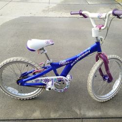 Girls 20" Schwinn Bike