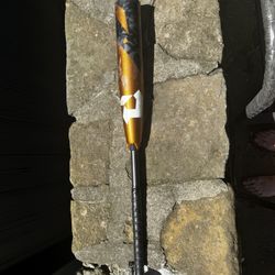 Demarini ZOA Drop 10 USSSA Gently Used Baseball Bat (30 INCH / 20 OZ.) WTDXZBZ22