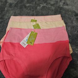 Women Panties Xl