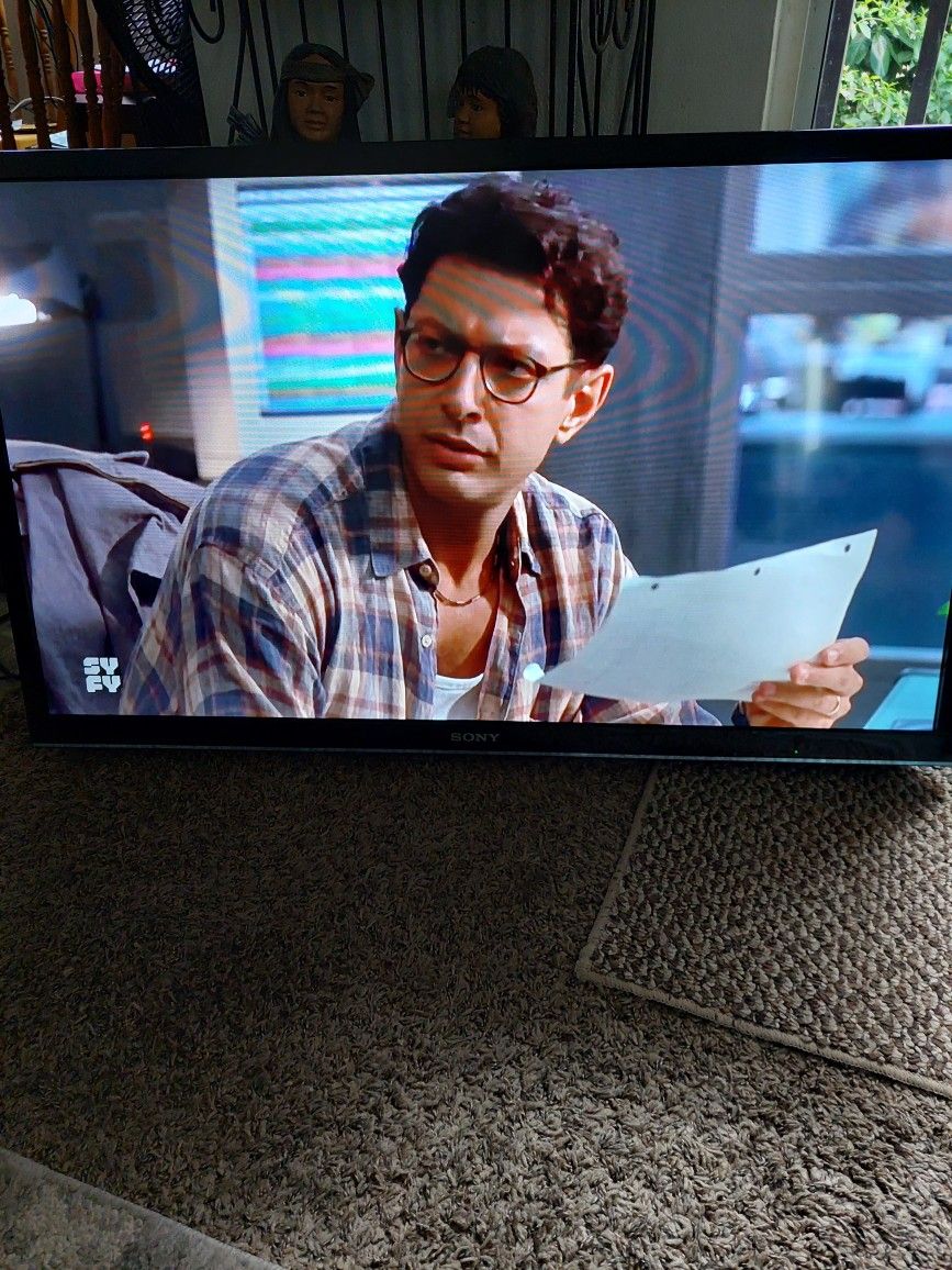 Sony 42 Inch TV
