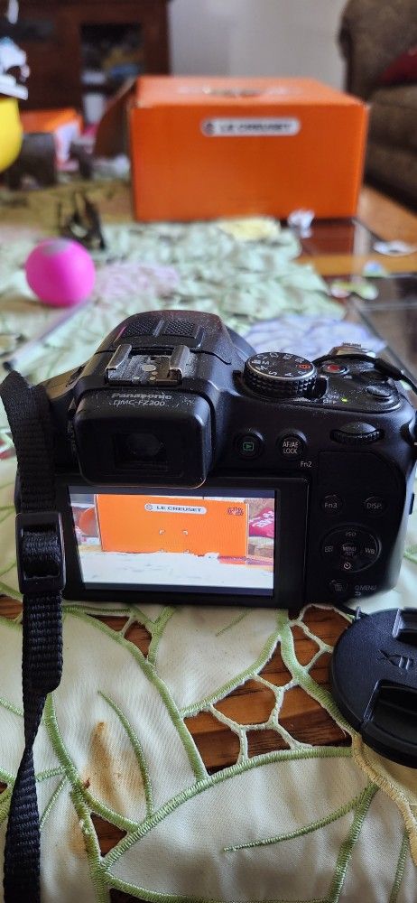 Lumix Great F-28 25-600 100