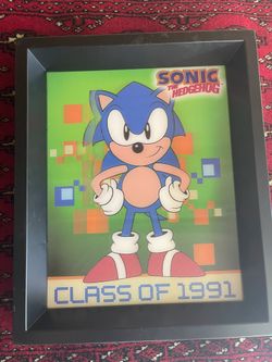 Sonic The Hedgehog 3D Frame
