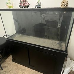 Fish Tank