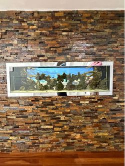 200 Gallon Fish Tank with Live Rocks