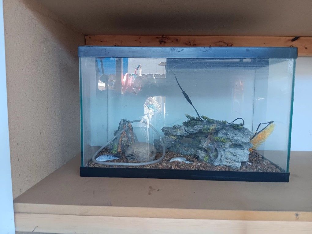Fish Tank Small