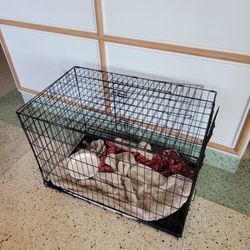 Dog Cage