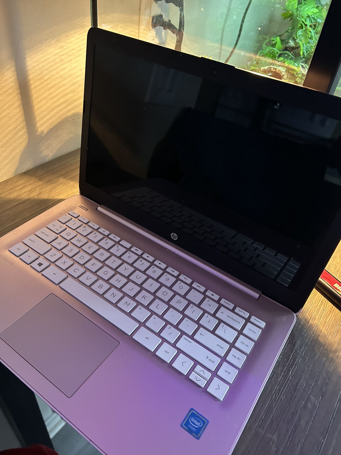 Purple HP Chromebook 
