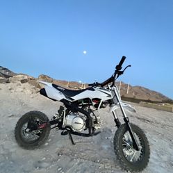 Ssr 250 Pit Bike