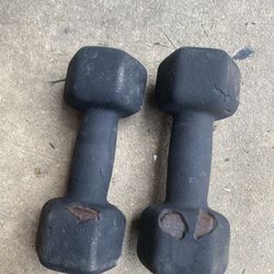 Hand Weights 