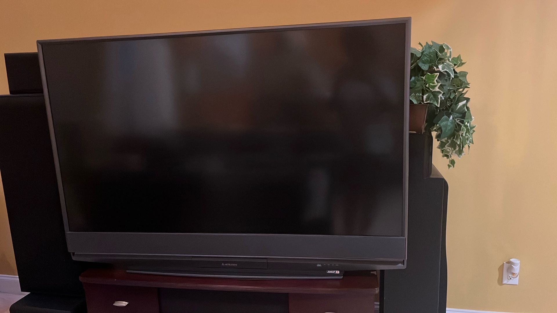 Mitsubishi 65” Big Screen