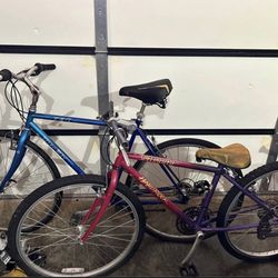 Trek 28” Specialized 26”