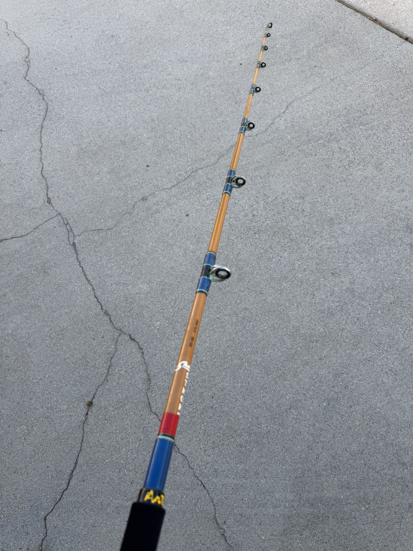 Deep sea fishing rod