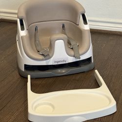 Ingenuity Booster Seat