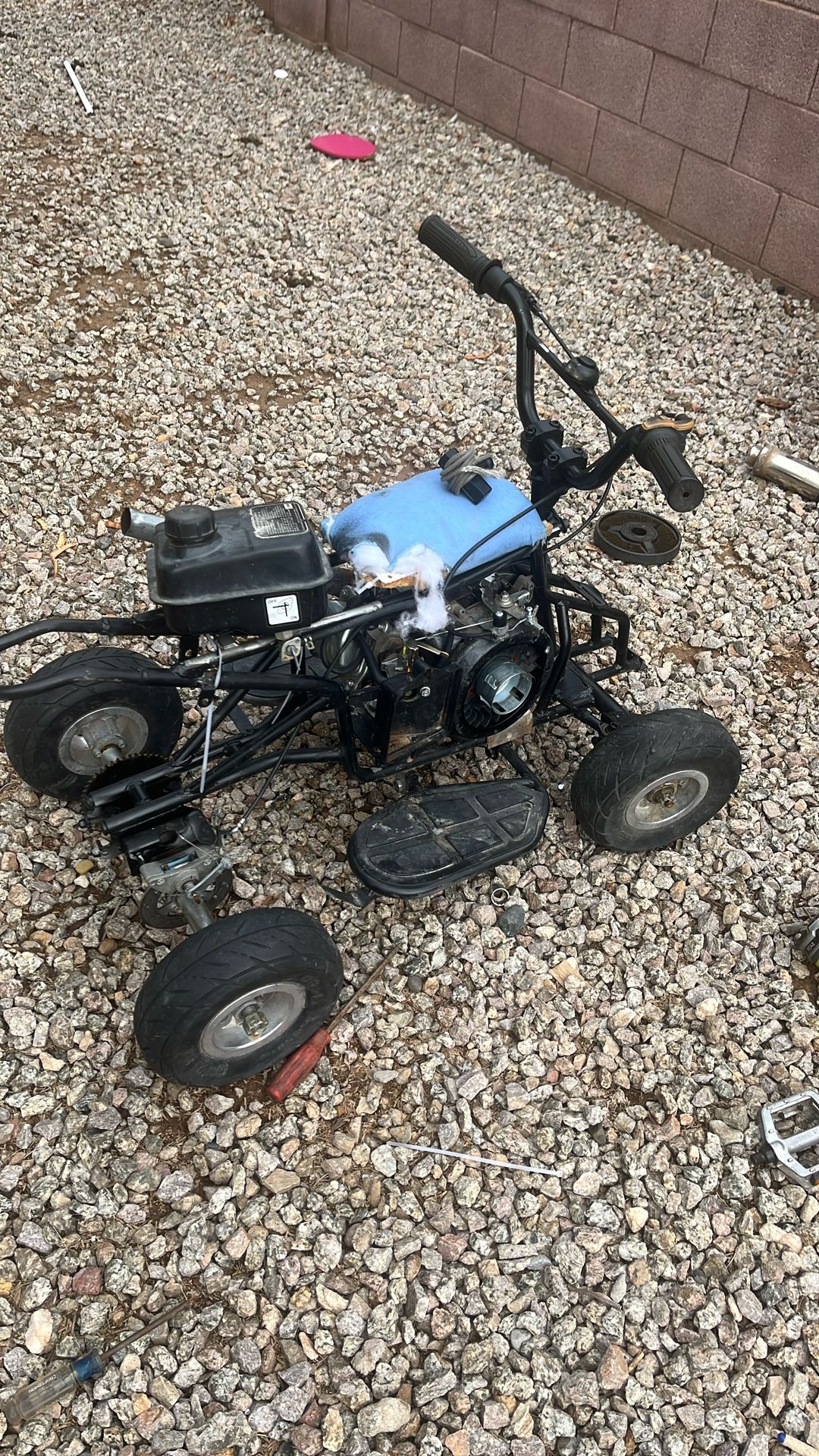 Project Mini Quad