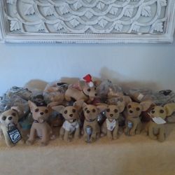 Taco Bell Chihuahua Dogs
