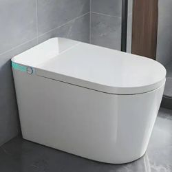 Elongated Smart Bidet Toilet