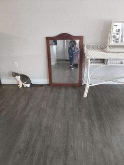 Mirror with wood frame