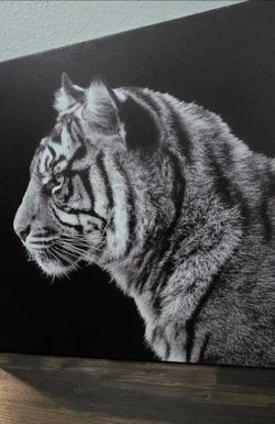 Tiger Art Framed 🎨