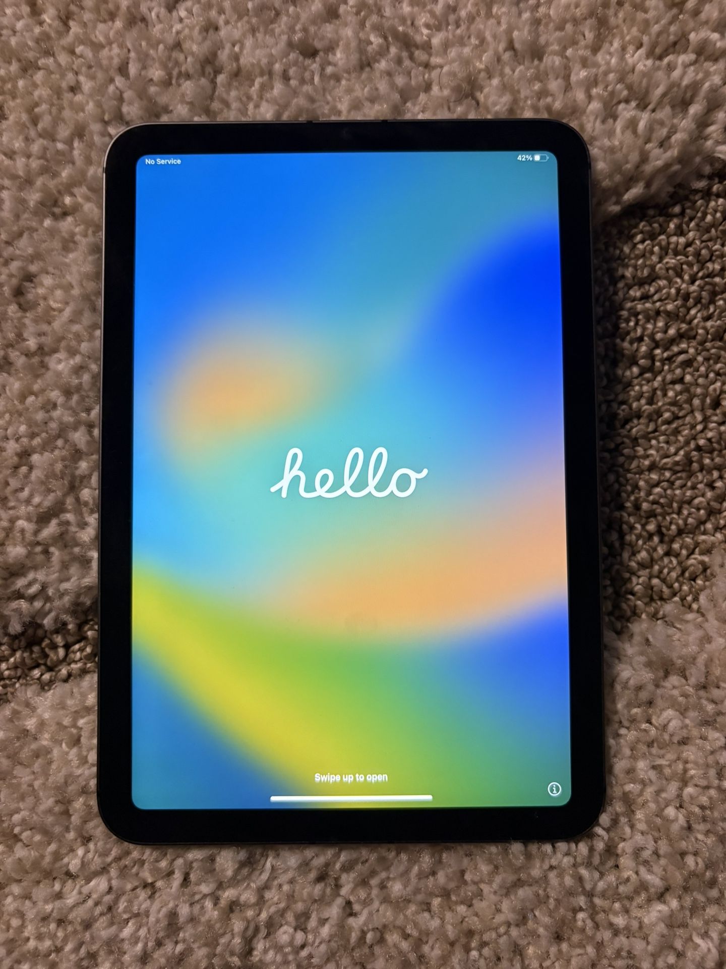 iPad Mini 6th Gen 256 Gig