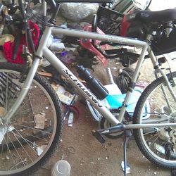 Schwinn Bike