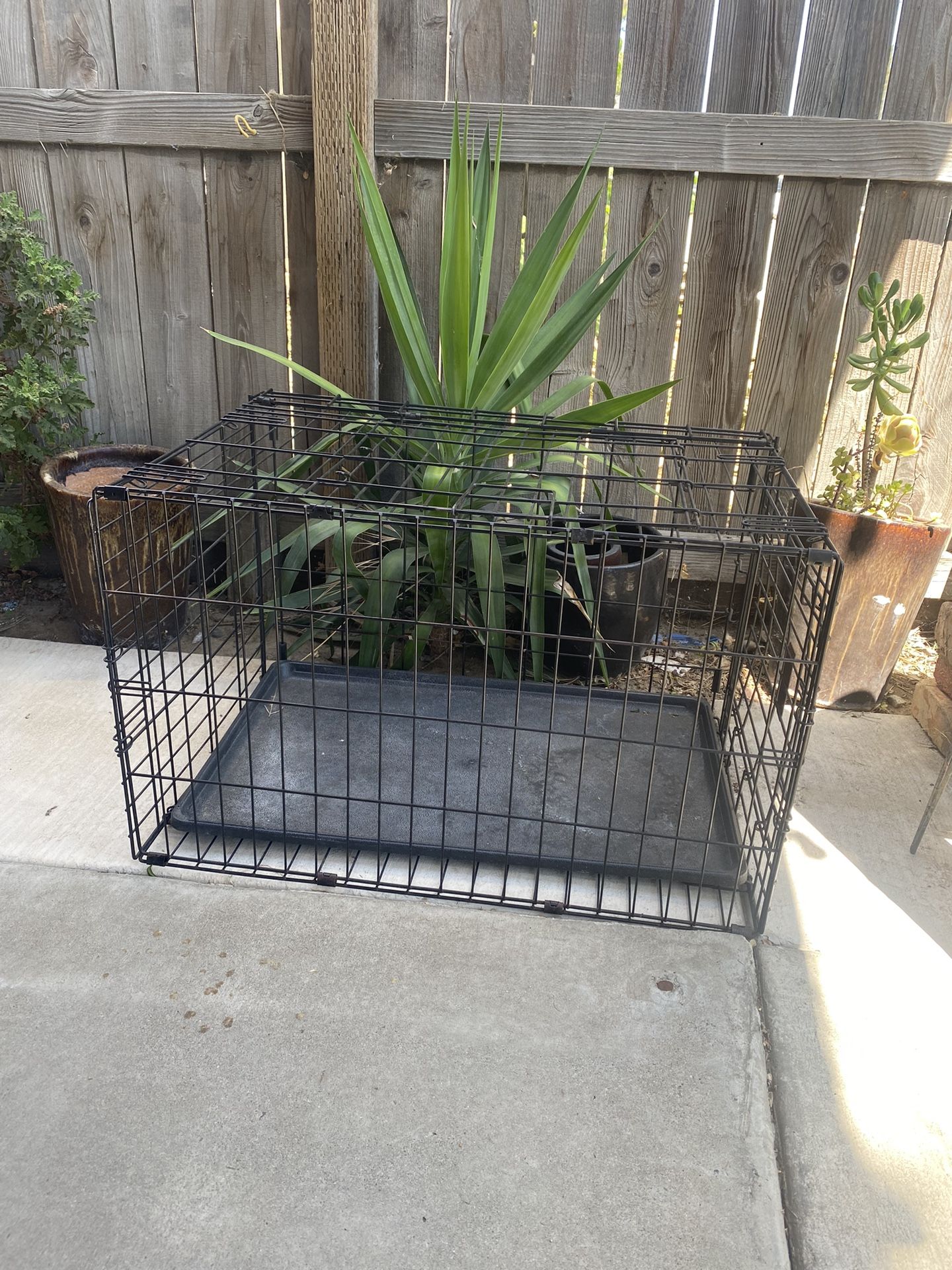 PET Cage