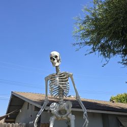 12ft Skeleton  with LED Lighting Kit and Body Bag (Storage Bag)  *All Home Depot