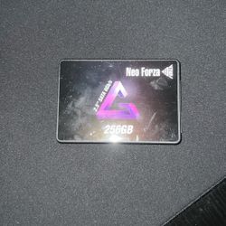 Neo Forza Ssd 256gbs