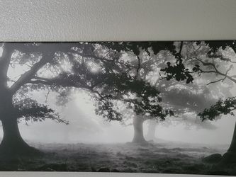 Ikea Panoramic Canvas