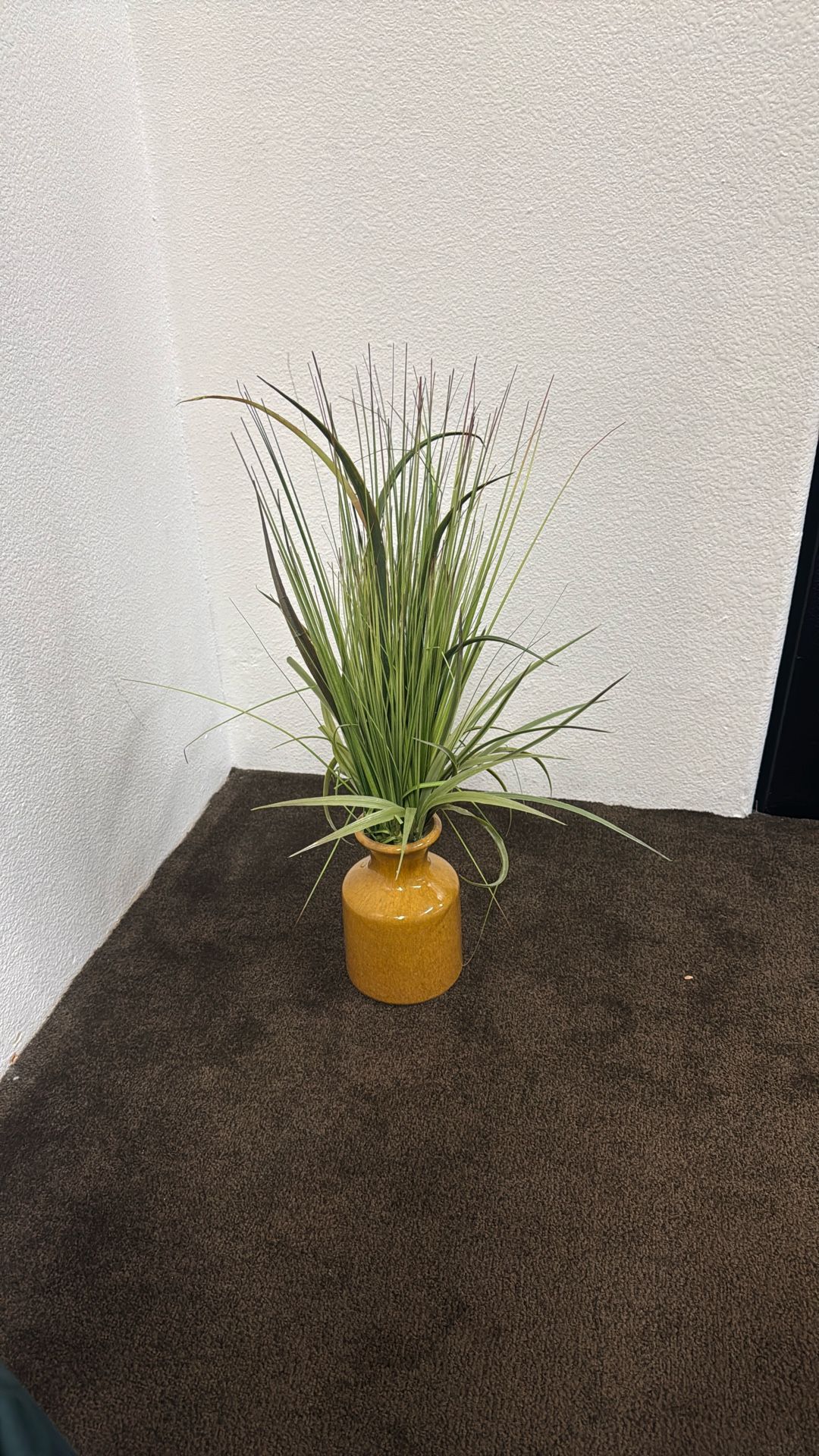 Fake Plant 