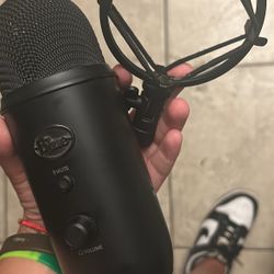 Mic 
