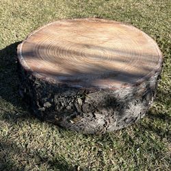 **BIG WOOD SLICES/ COFFEE TABLE**