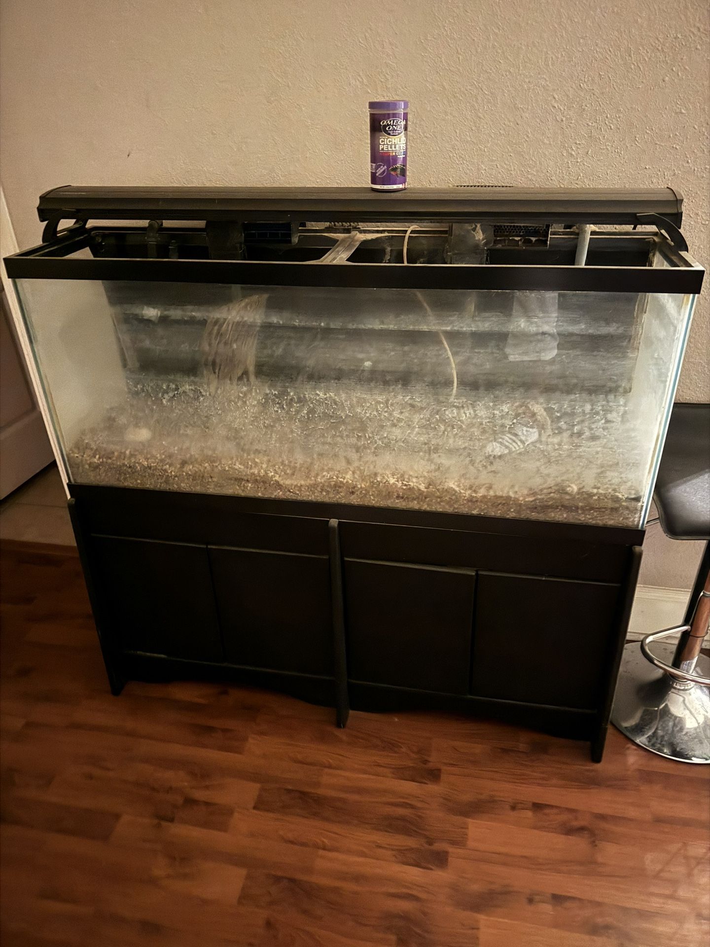 Aquarium For Sale