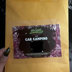 Nocturnal Car Camping 