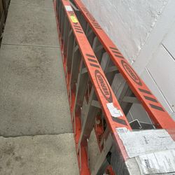 Werner 10 Foot Ladder 