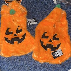 Dog Pumpkin Costumes