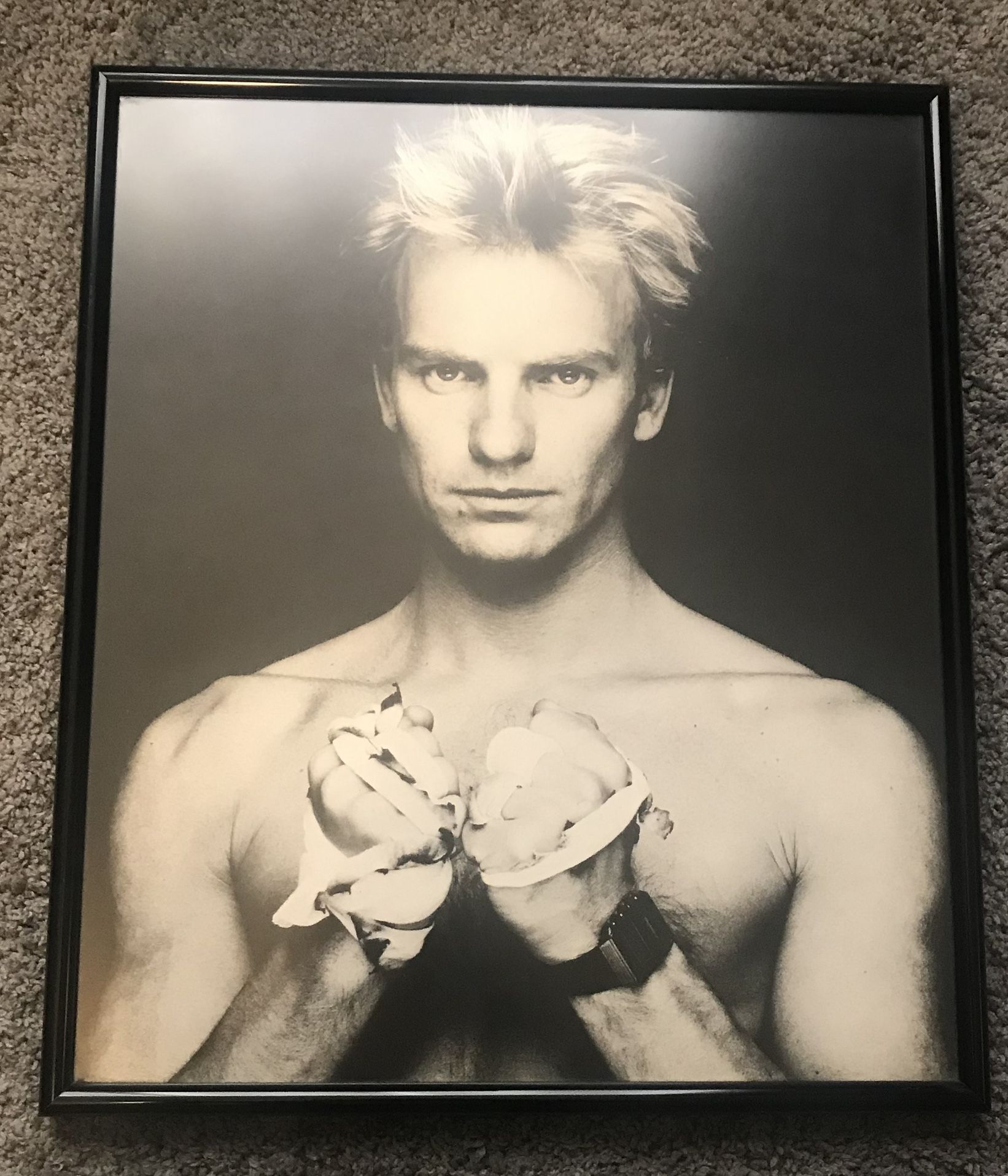 STING/THE POLICE FRAMED PORTRAIT
