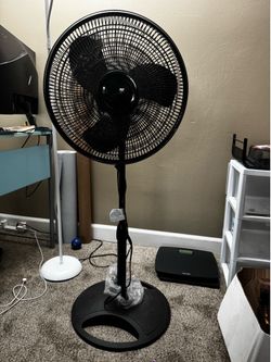 Lasko Oscillating Stand Fan