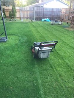 Gas Lawn Mower with Bag service