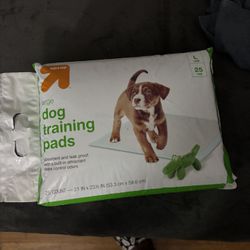 Doggy Training Mats